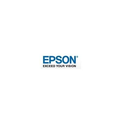 EPSON WorkForce Enterprise WF-C20600 Black Ink